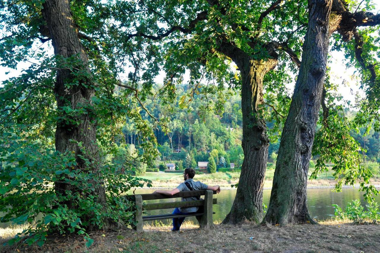 Am Nationalpark * Stadt Wehlen